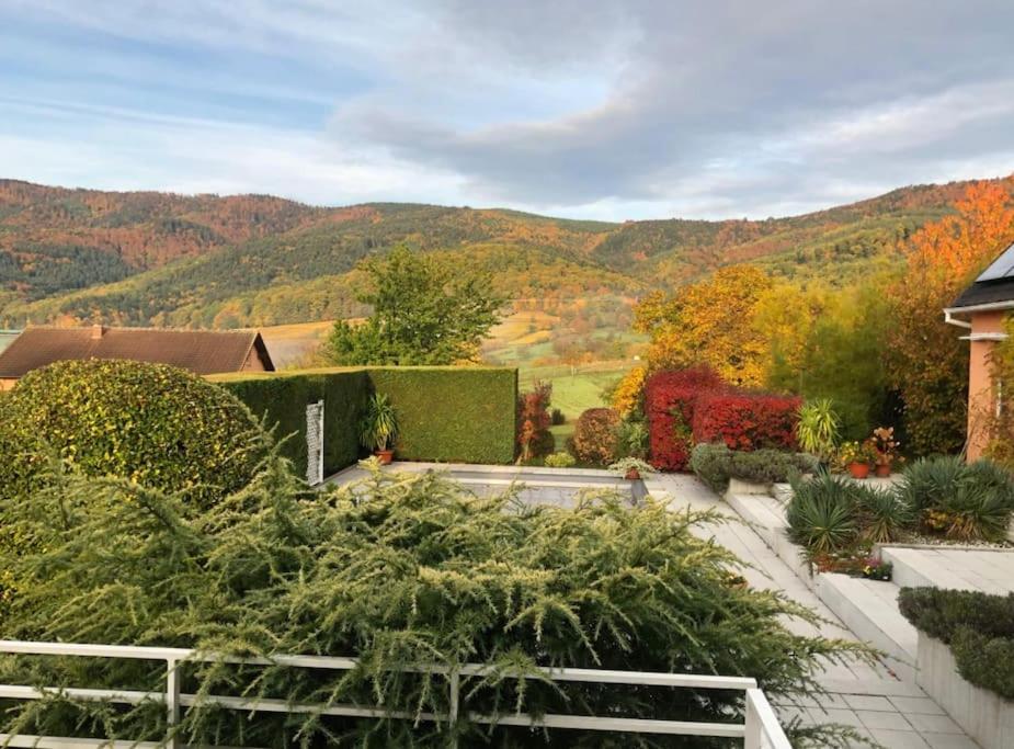 Logement De Charme Au Coeur De La Nature Osenbach Exterior foto