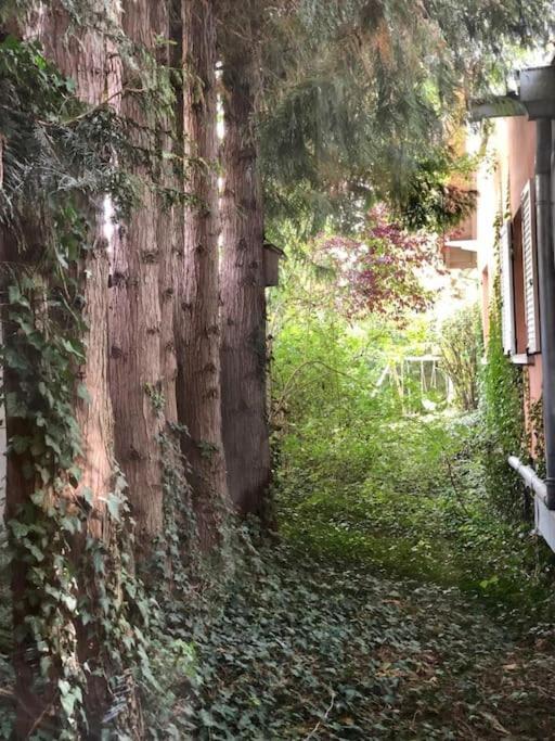 Logement De Charme Au Coeur De La Nature Osenbach Exterior foto
