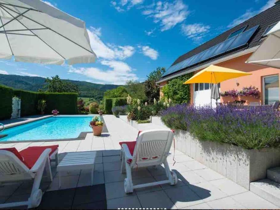 Logement De Charme Au Coeur De La Nature Osenbach Exterior foto
